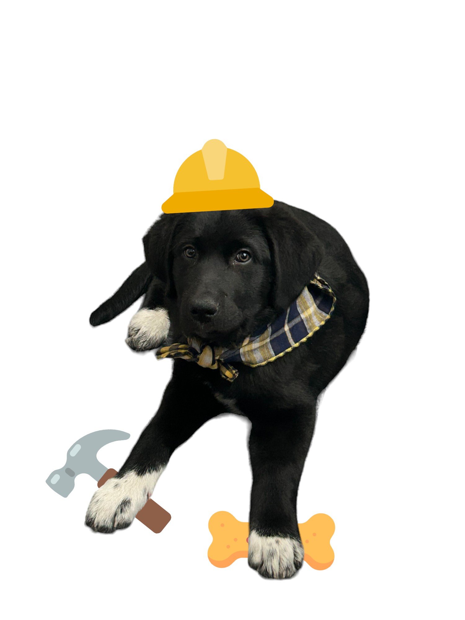 Avatar for Mosley's Flooring