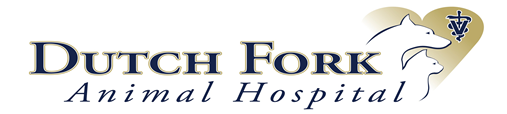 Logo for Dutch Fork Animal Hospital
