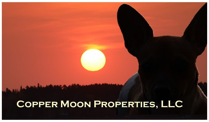 Copper Moon Properties, LLC logo