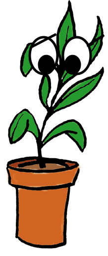 Avatar for Smarty Plants Nursery