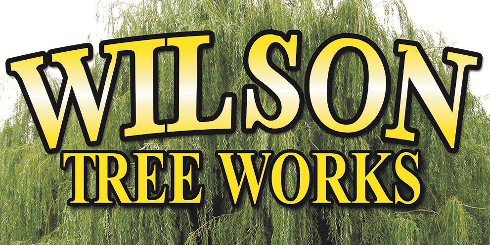 Avatar for Wilson Tree Works