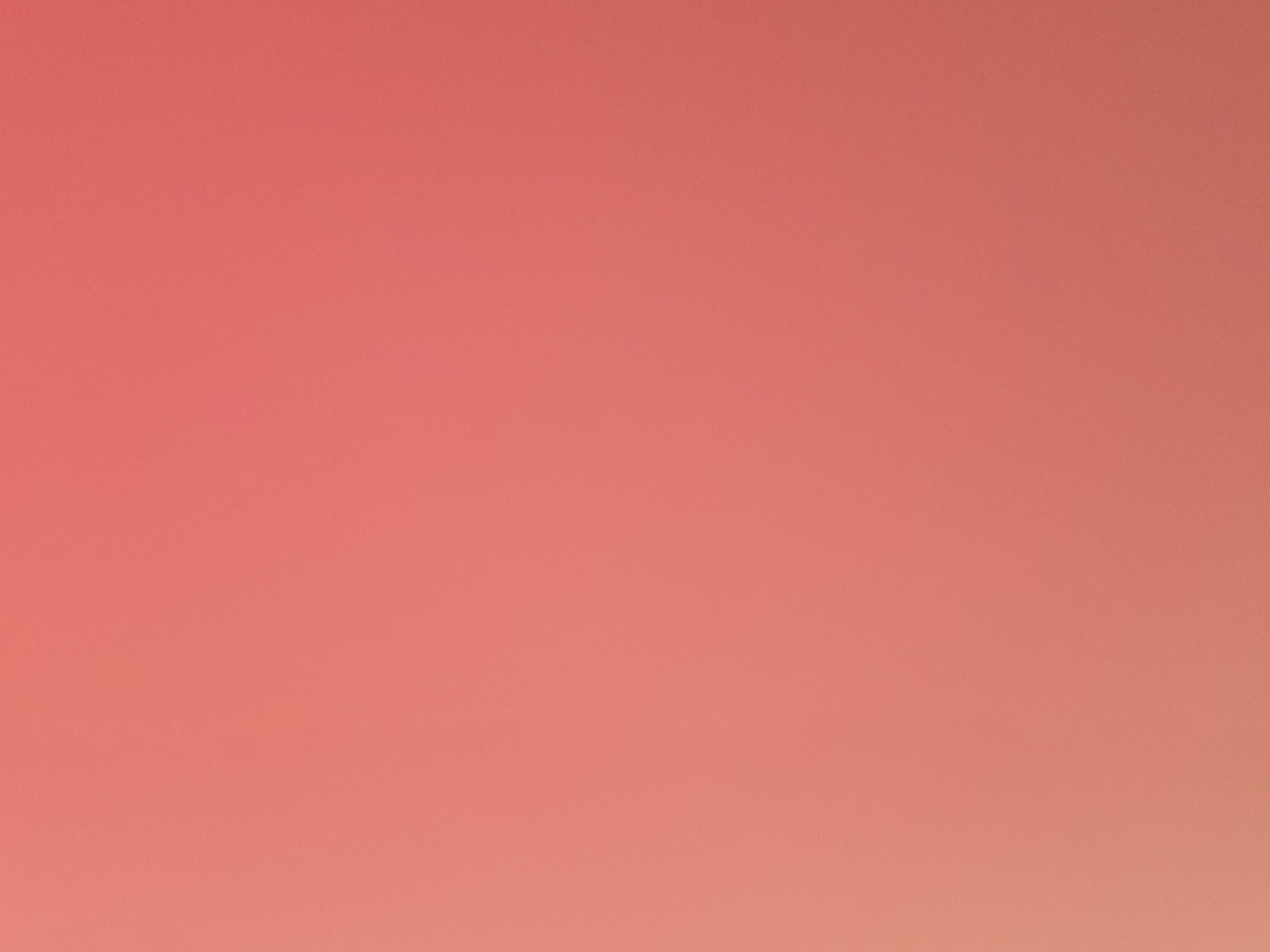 Avatar for Tiffany Gray