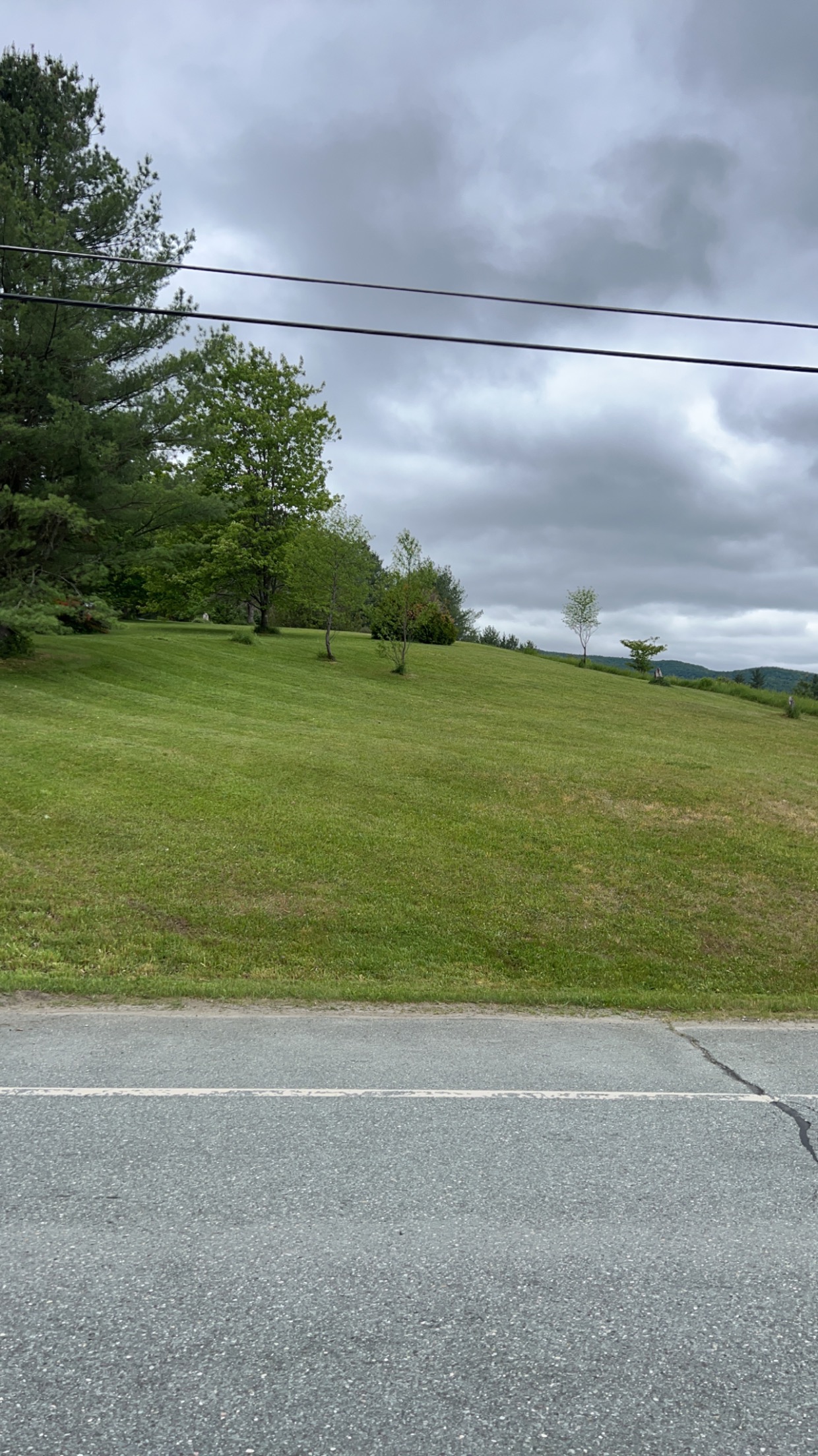 Avatar for C&S Lawn Care Plus