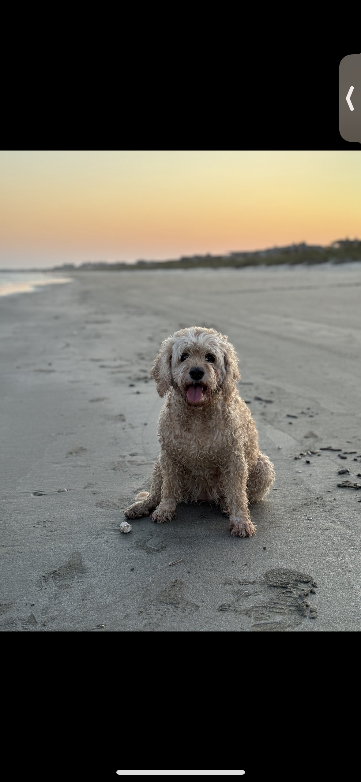 Avatar for Ryan’s paints