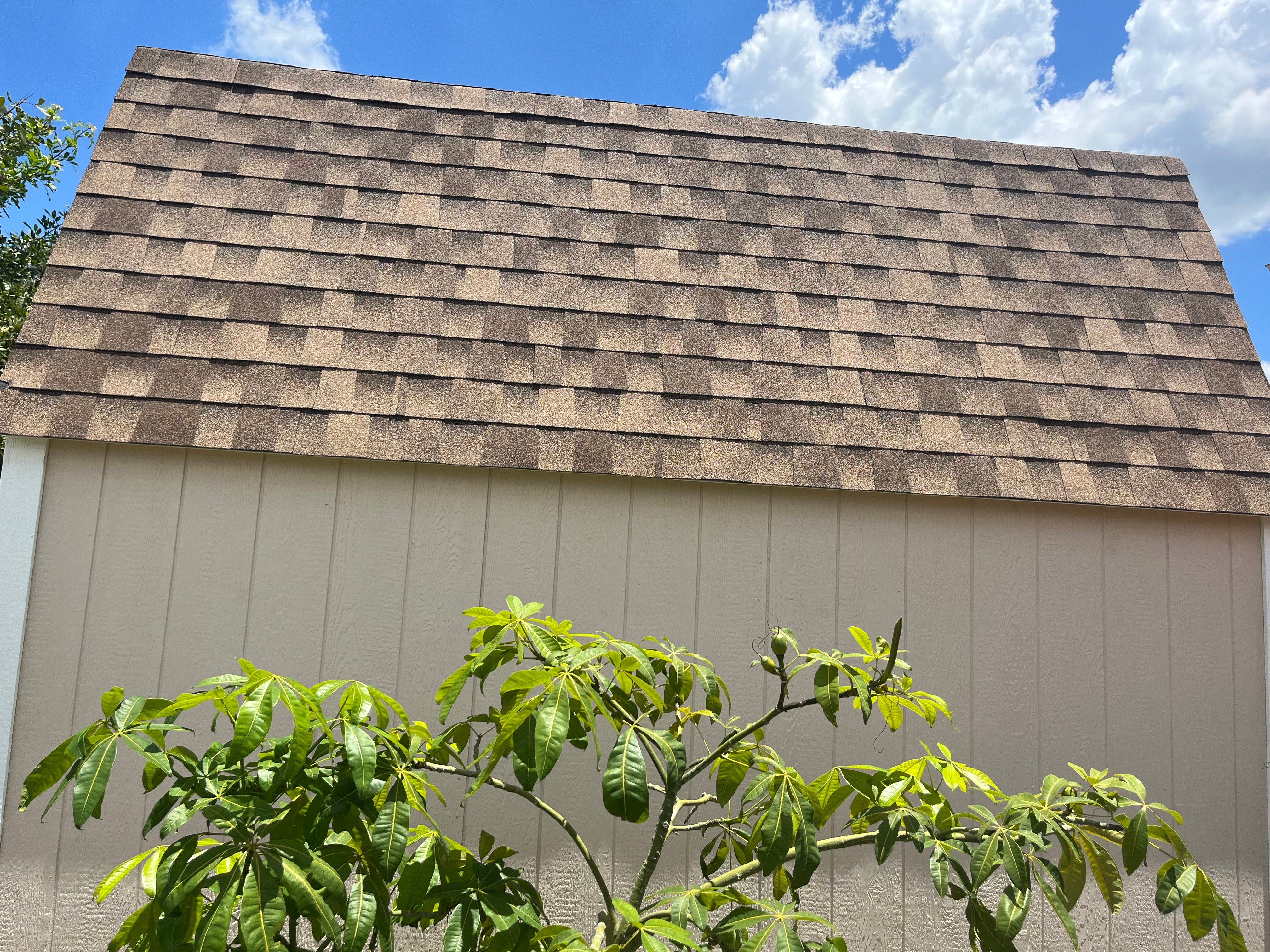 Avatar for ANJ Designs