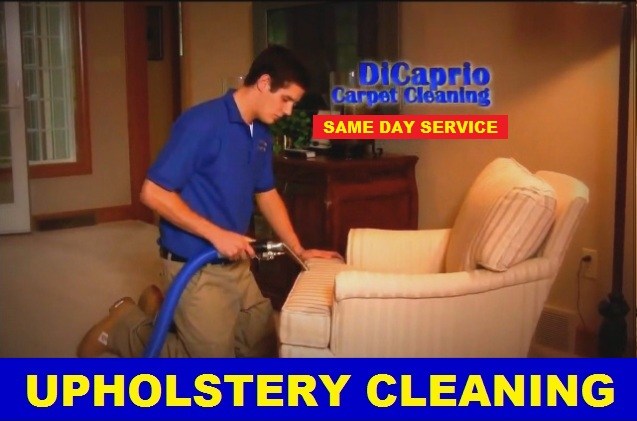 Kevin Same Day Service