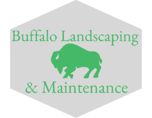 Avatar for Buffalo Landscaping & Maintenance, LLC