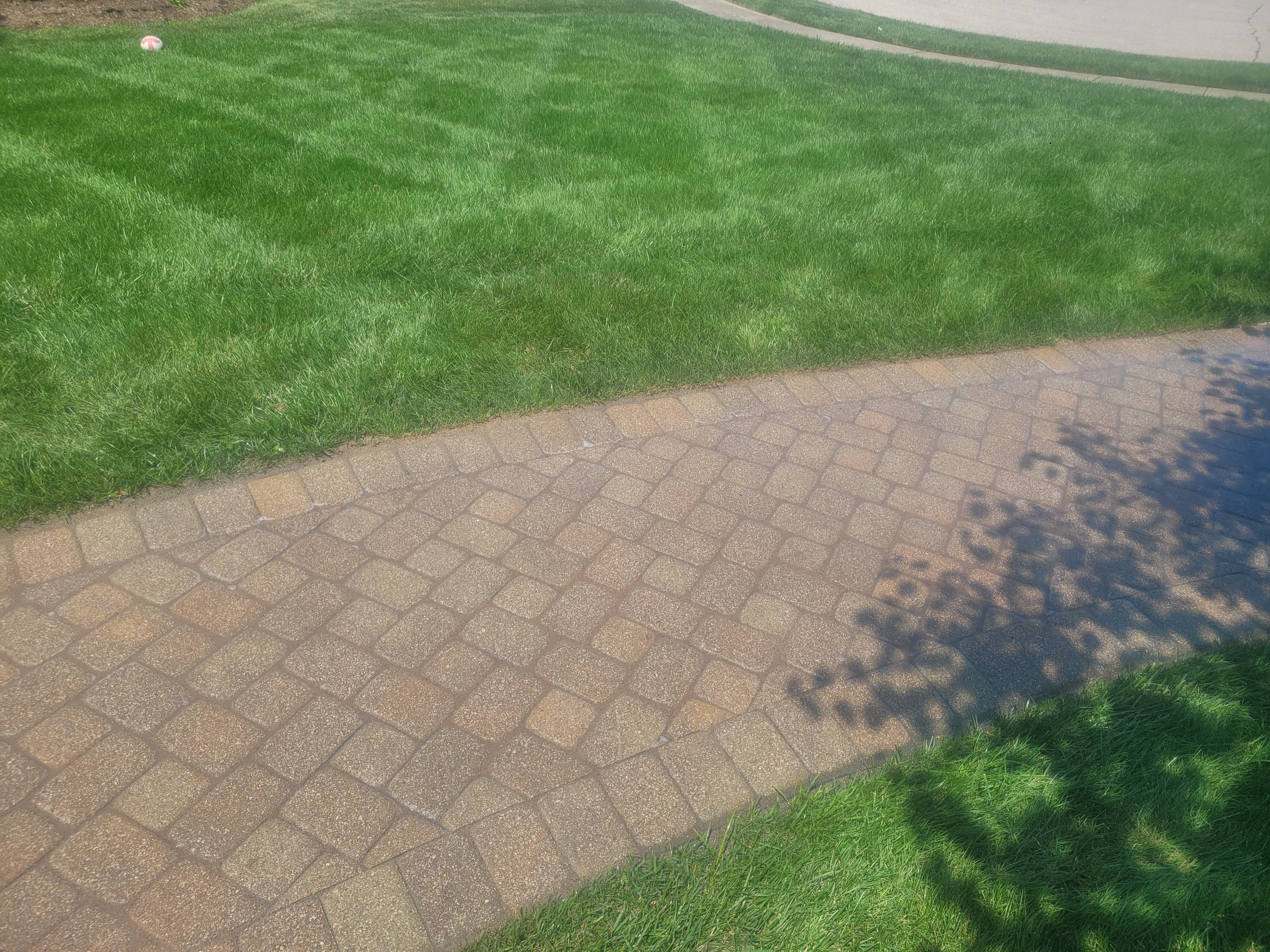 Avatar for McKenzie Boys