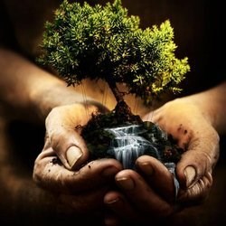 Avatar for Sizemore Services