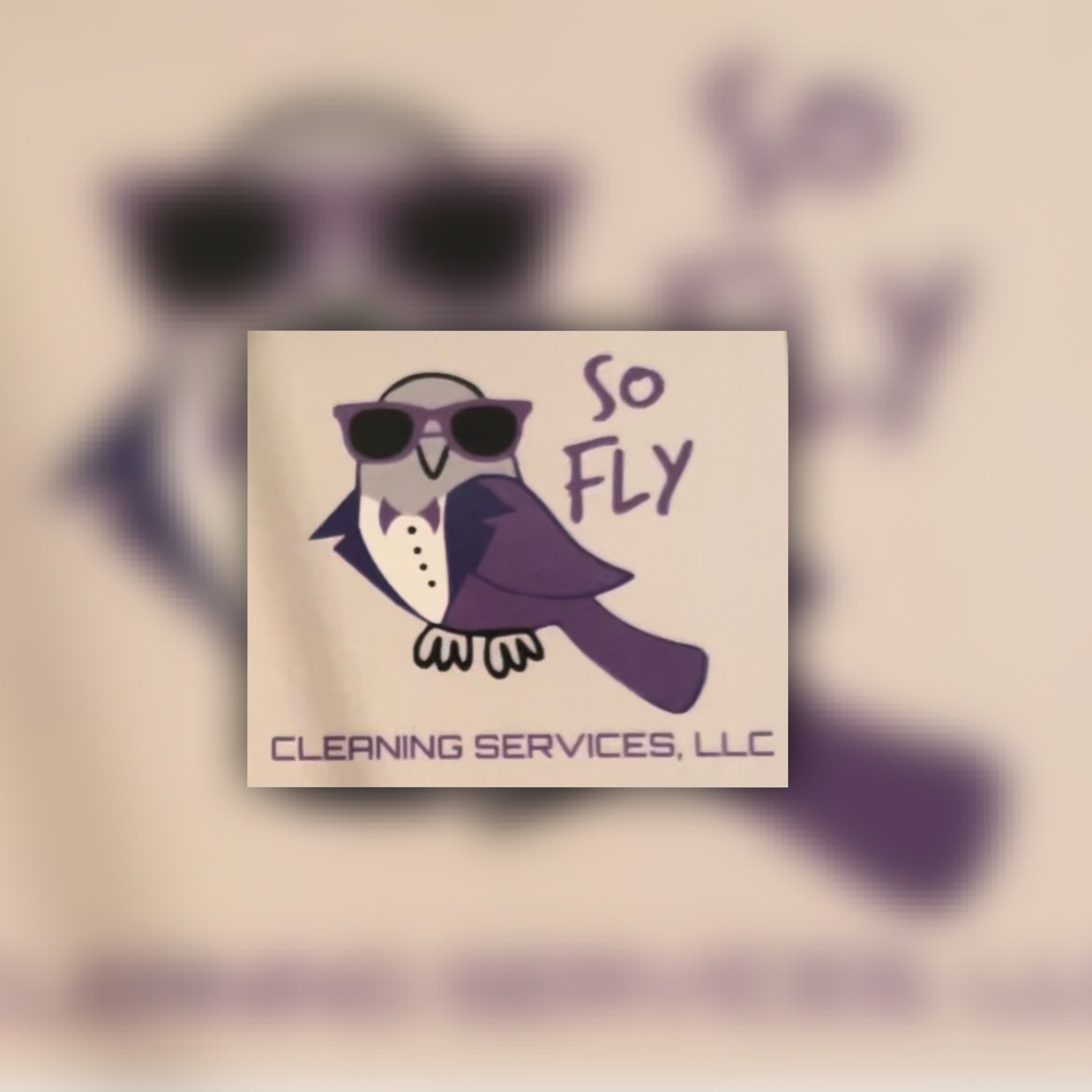 Avatar for SoFly Cleaning Services LLC