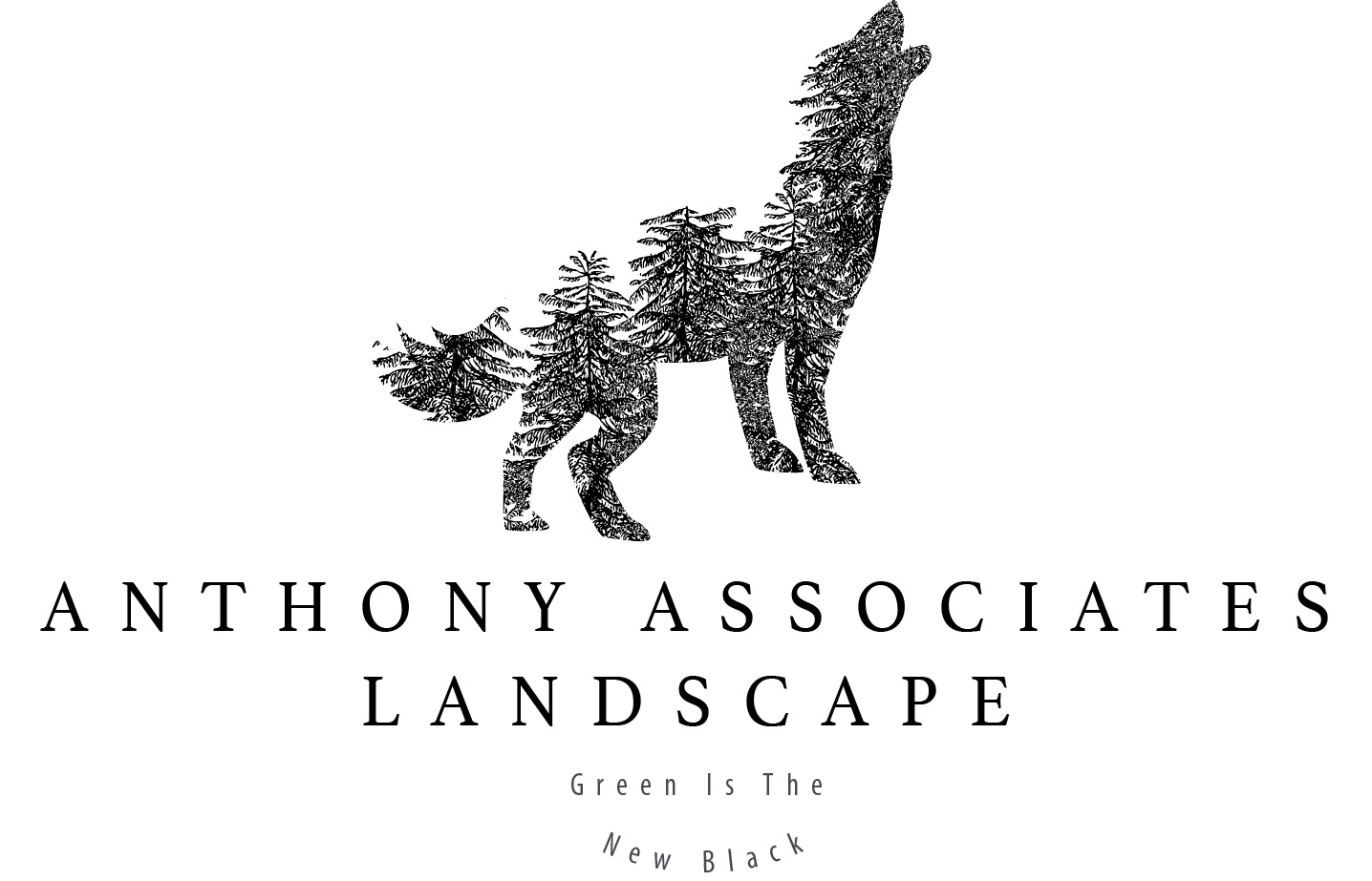 Avatar for Anthony Associates Landscape