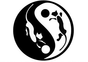 Twin Tigers Acupuncture & Weight Loss logo