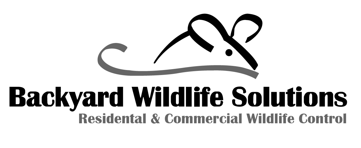 Avatar for Backyard Wildlife Solutions