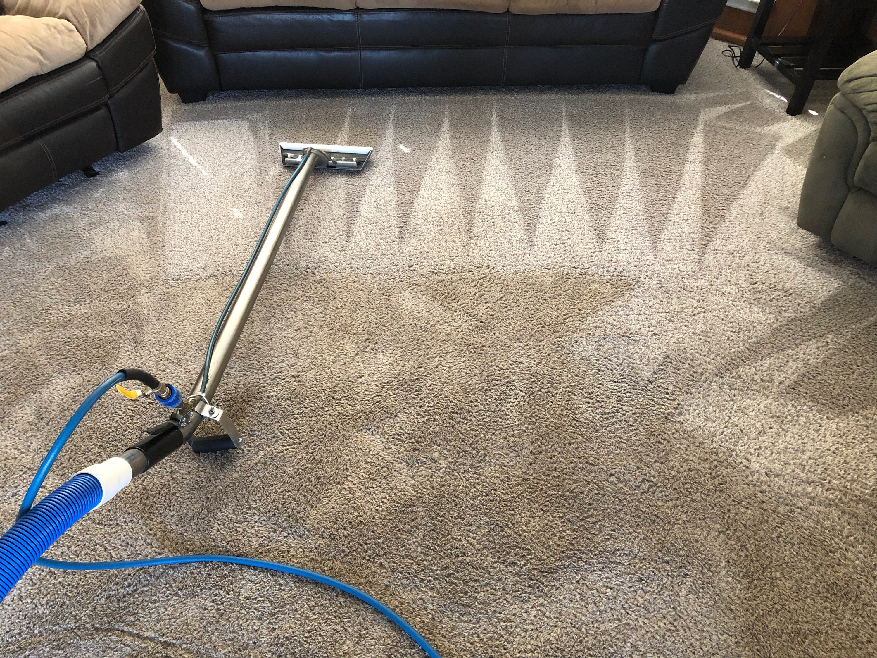 Precise Carpet Cleaning Reviews Saint Charles, MO Angi