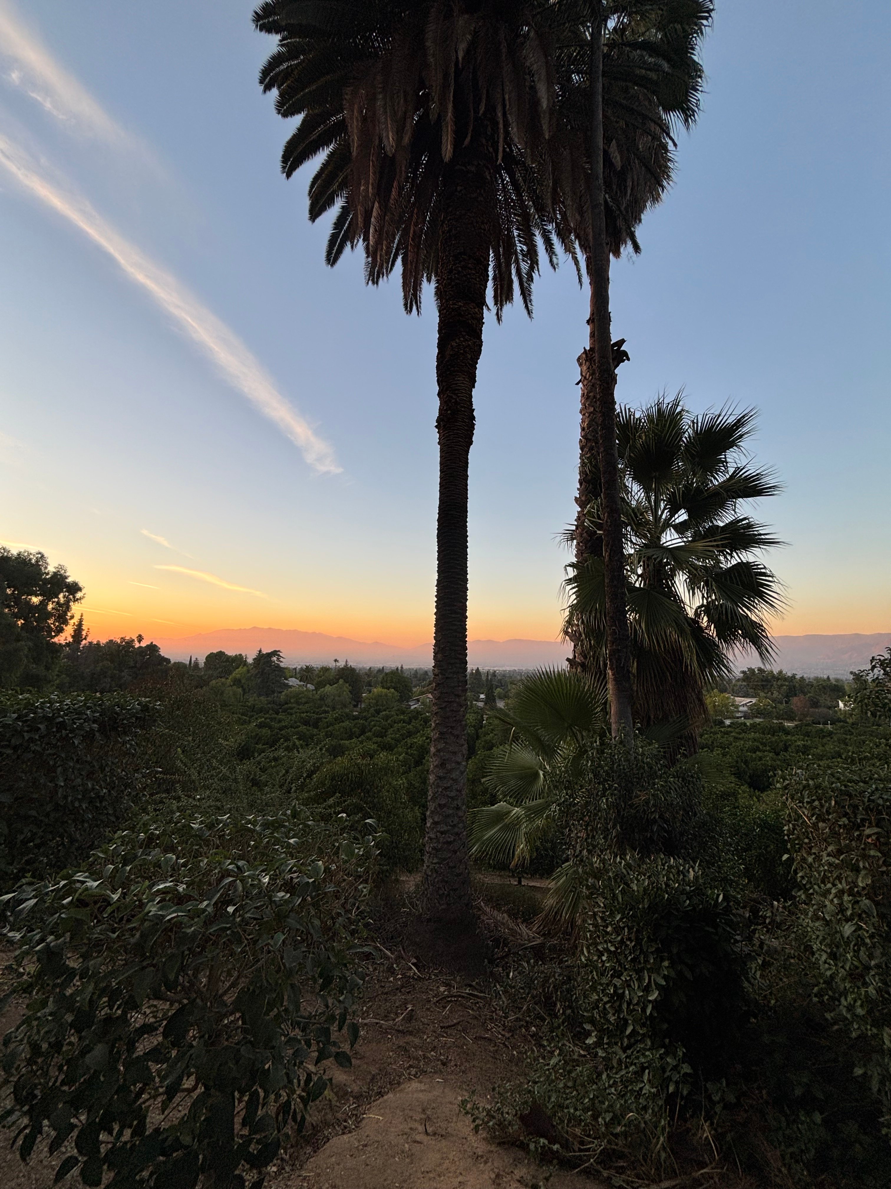 Avatar for Pintor Handymen