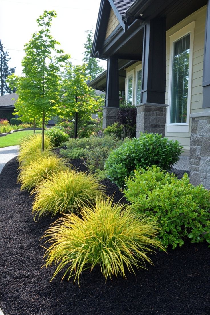 Avatar for Darius mckiry 