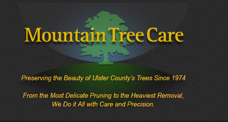 Logo for MOUNTAIN TREE CARE