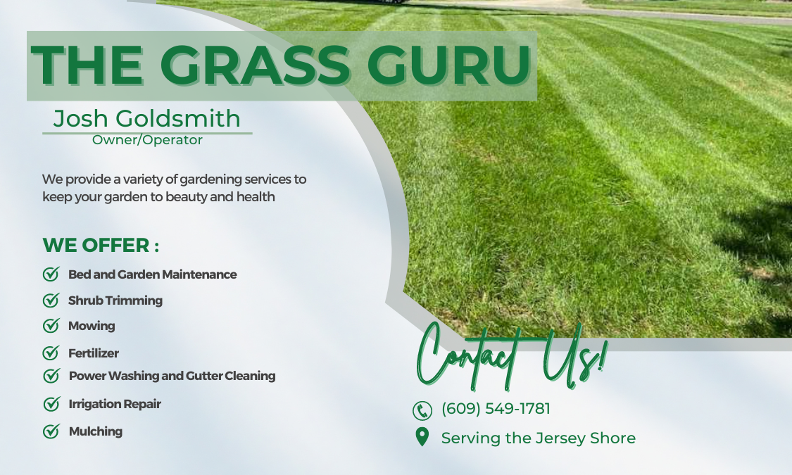 Avatar for The grass guru