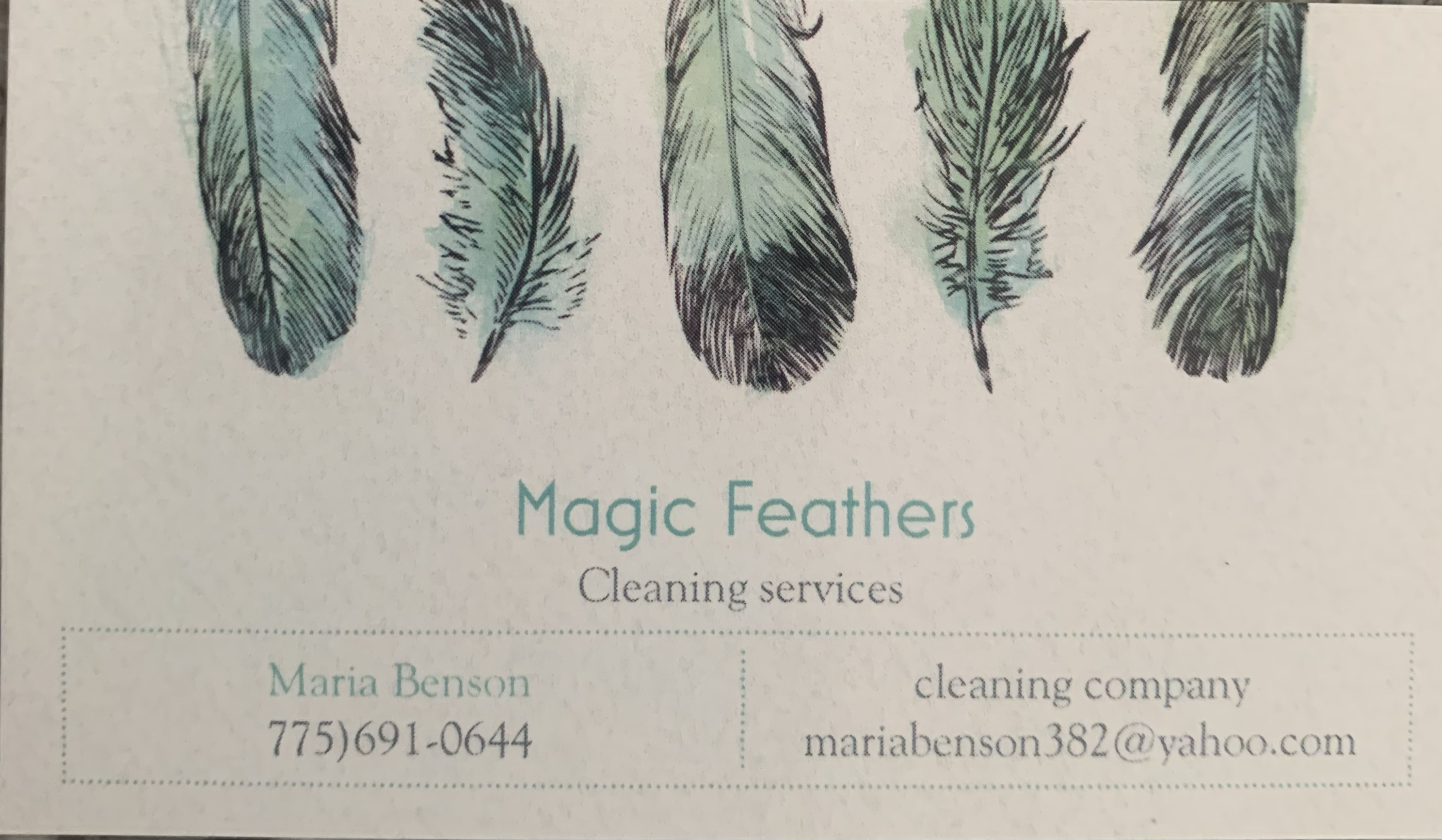Logo for Magic Feathers 