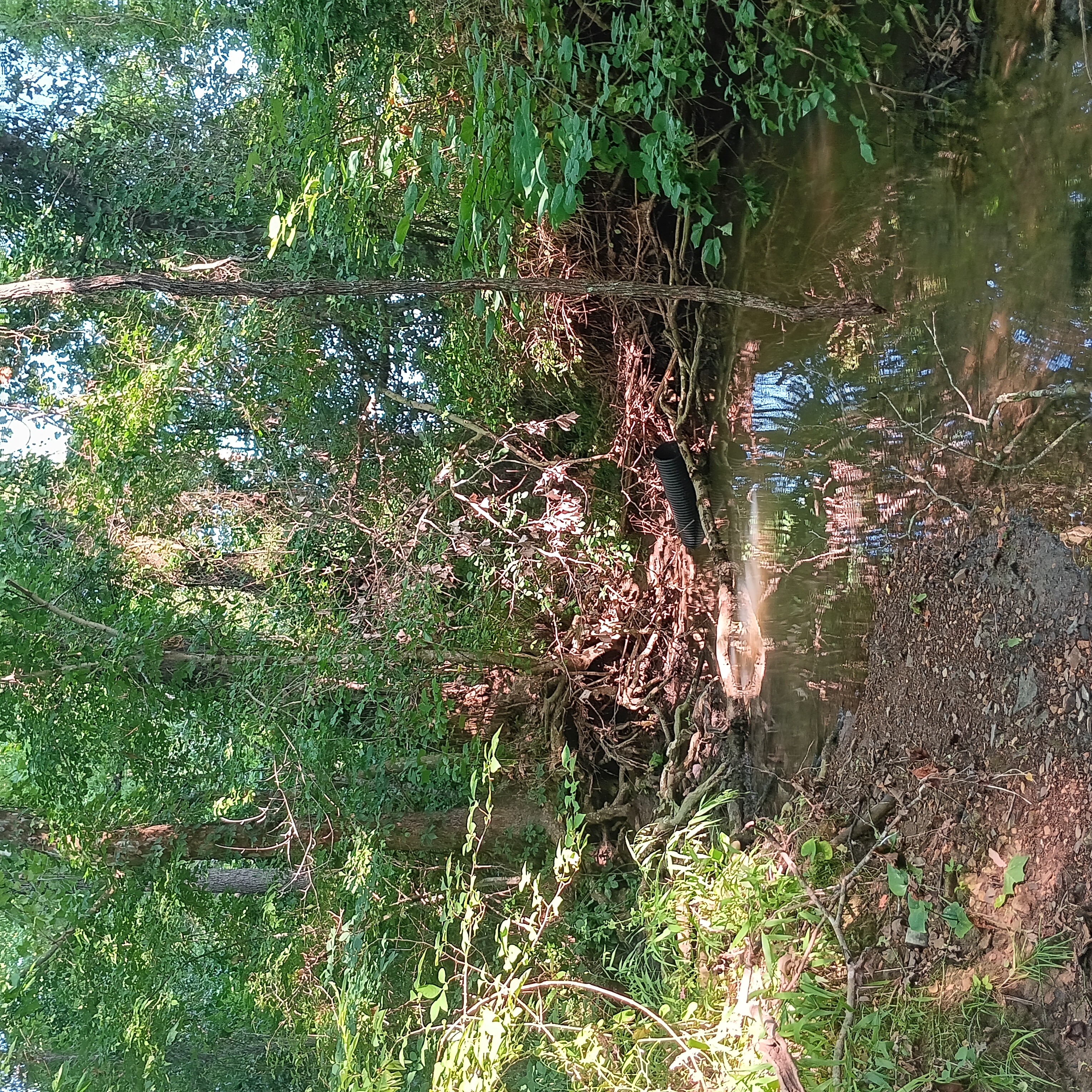 Avatar for Fried French Handyman Service