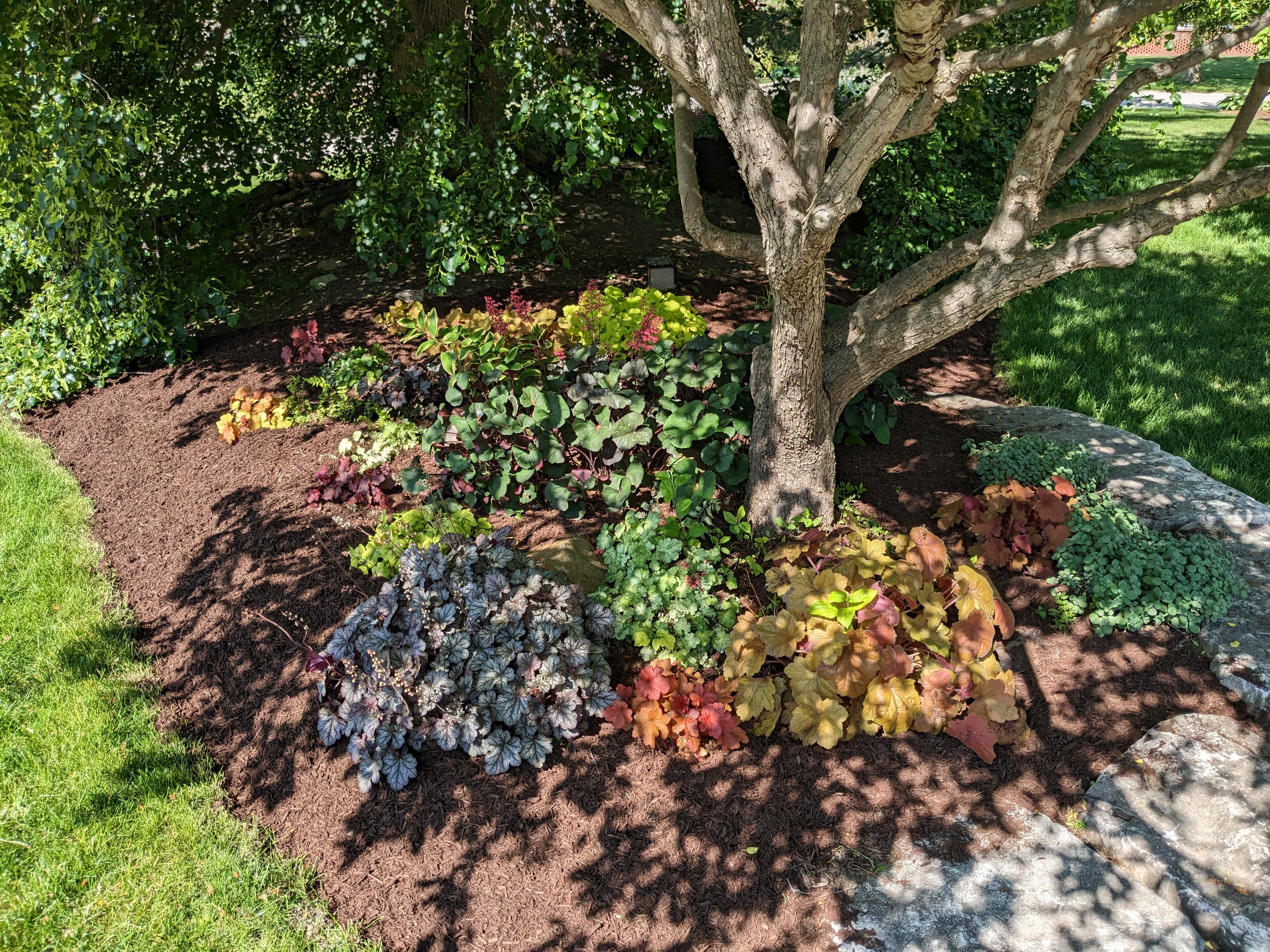 Avatar for Pierce Lawn Care and Landscaping