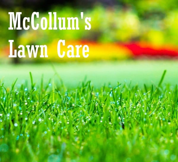 Avatar for McCollum's Lawn Care