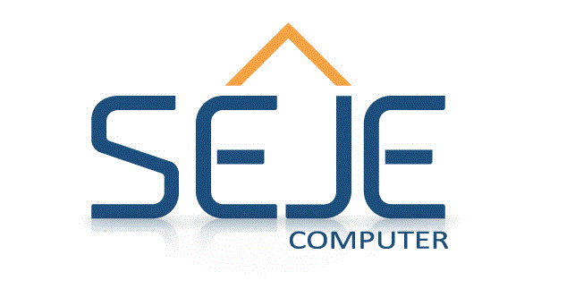 SEJE Computer Consulting, Inc. logo