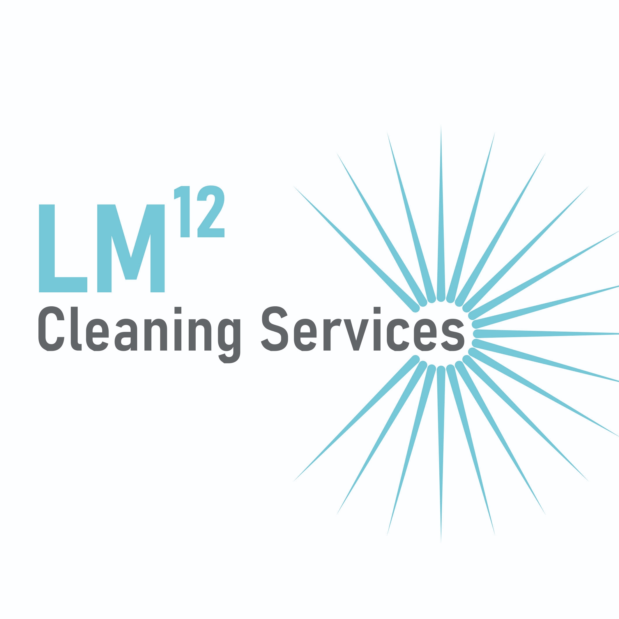 LM12 cleaning services  logo
