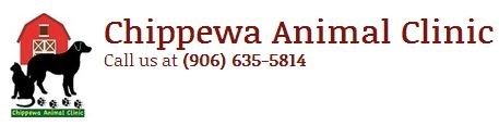 Logo for Chippewa Animal Clinic