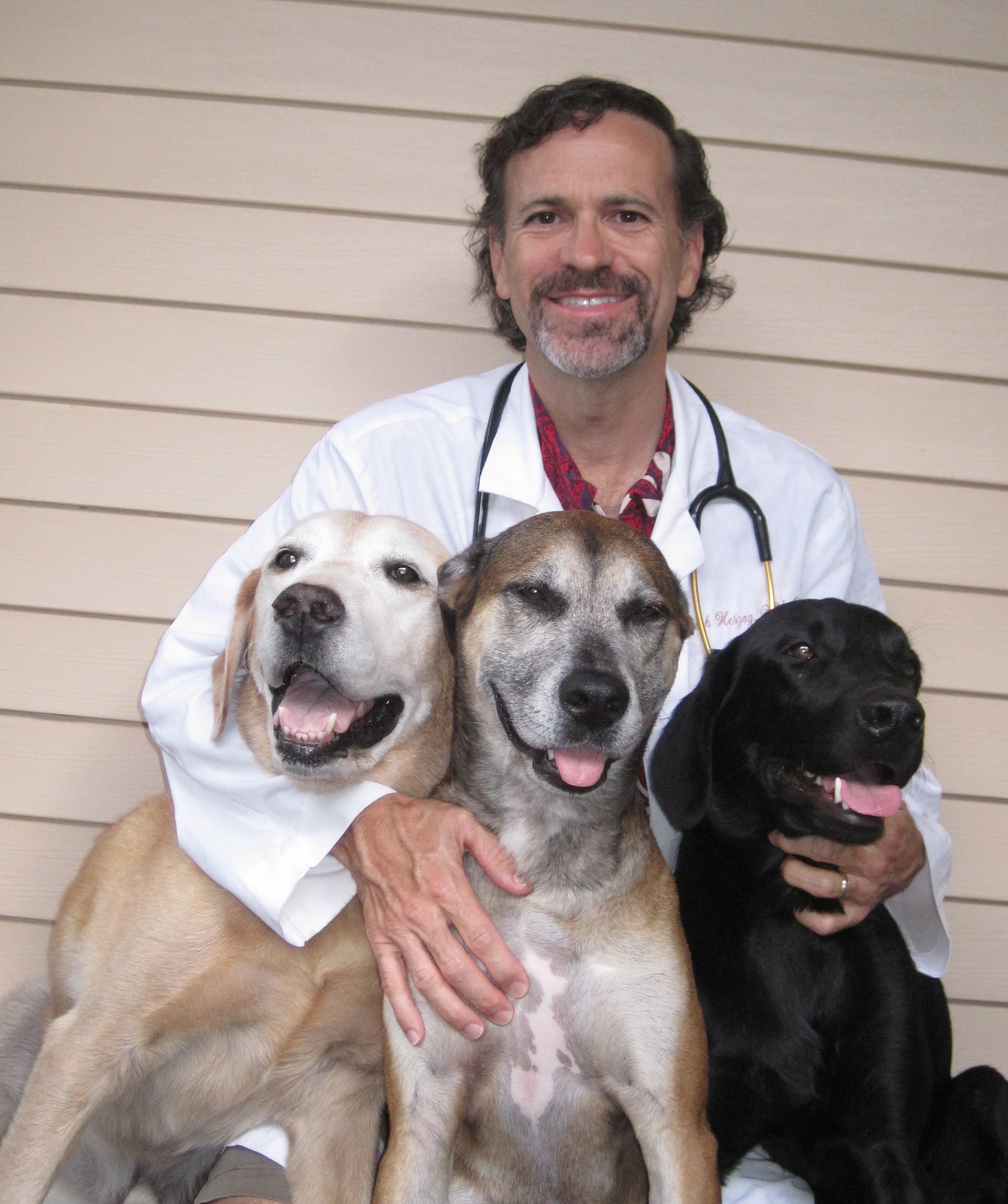 Logo for Joe Herzog, DVM