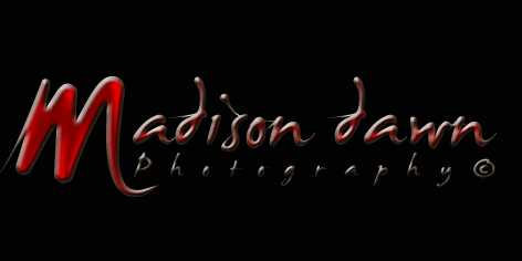 Madison dawn Photography logo
