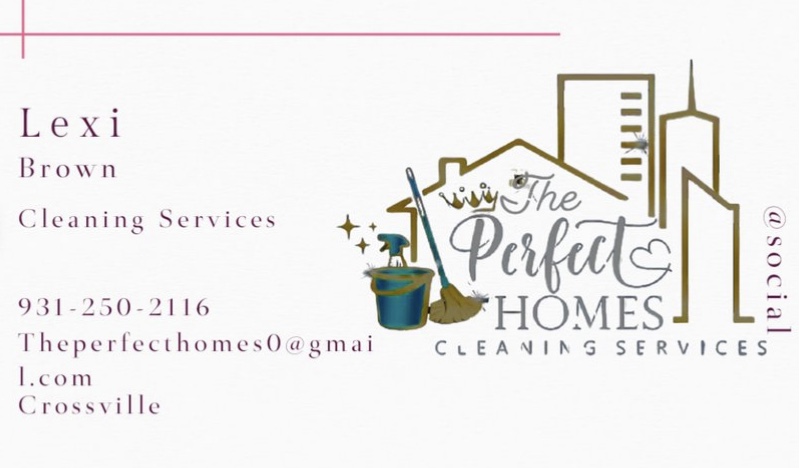 Avatar for The Perfect Homes Cleaning Services