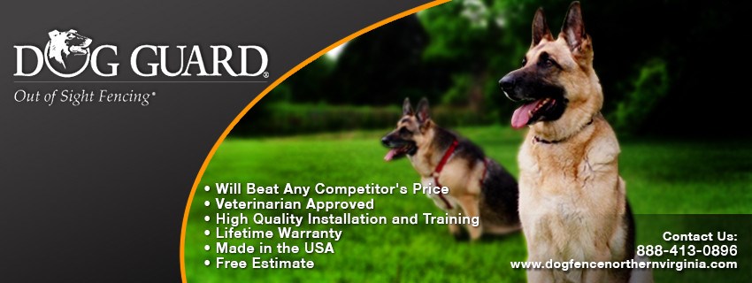 Avatar for Dog Guard Fence Installation Northern Virginia