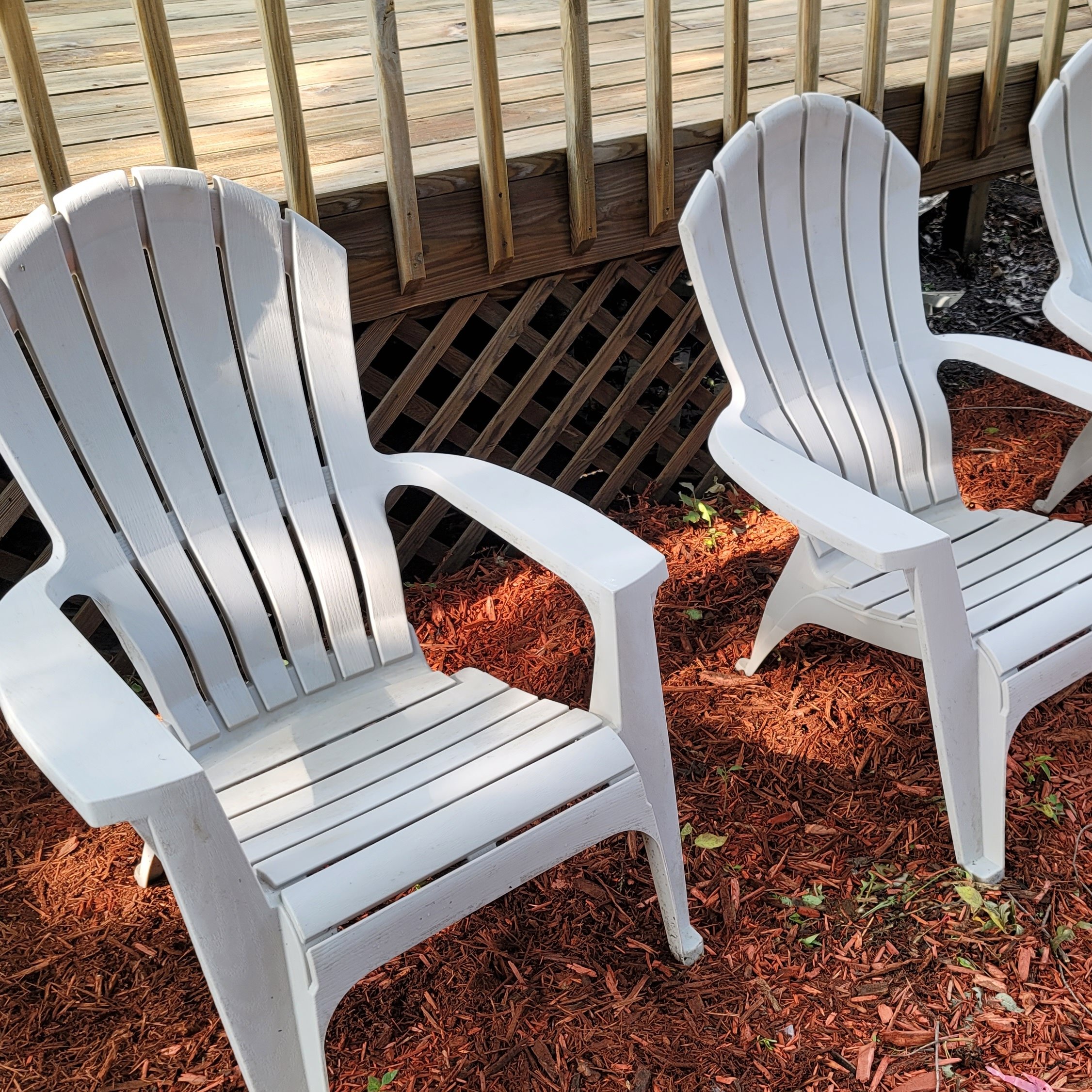 Avatar for reNEWvenate LLC