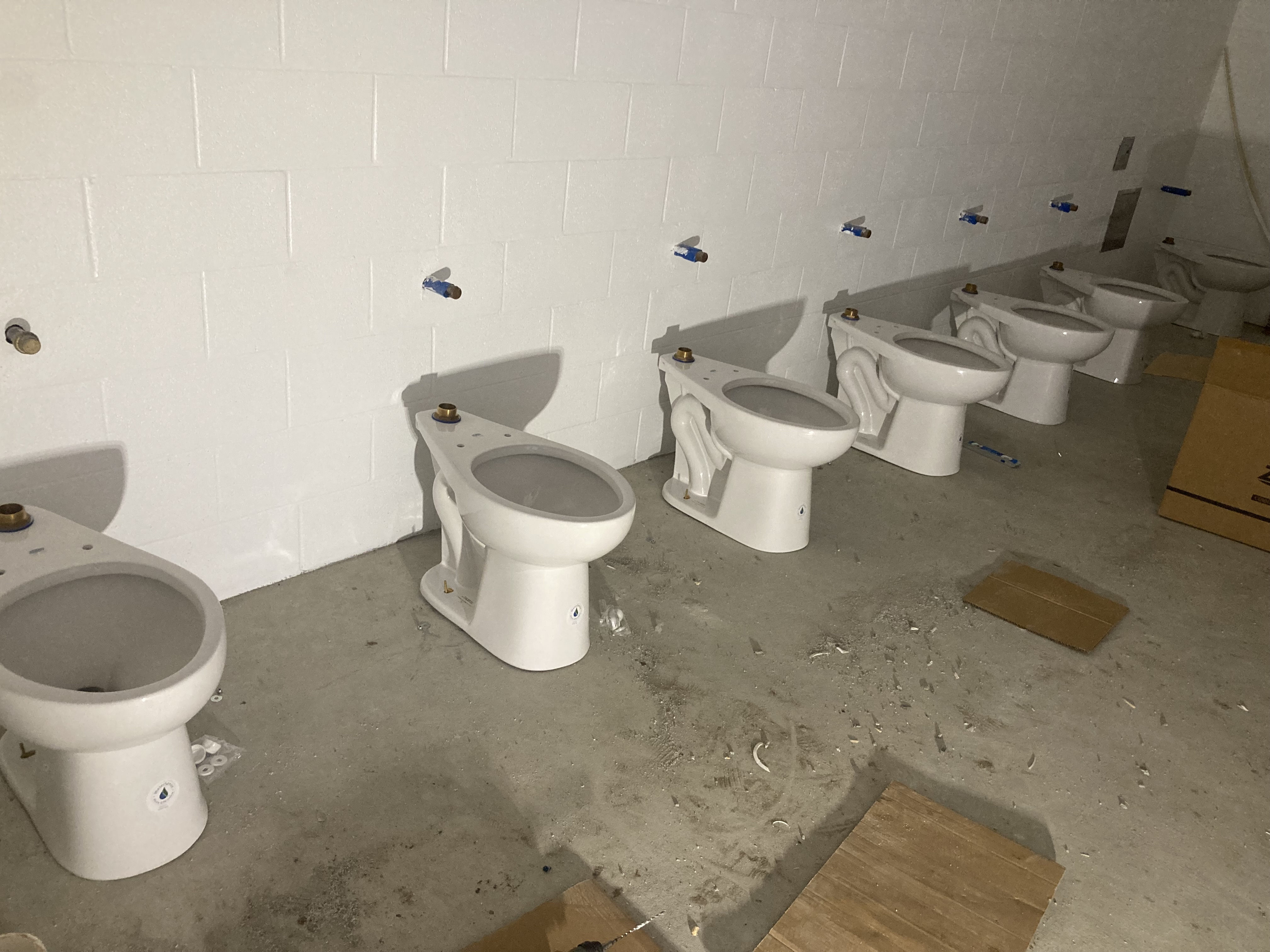 Avatar for Logan albert