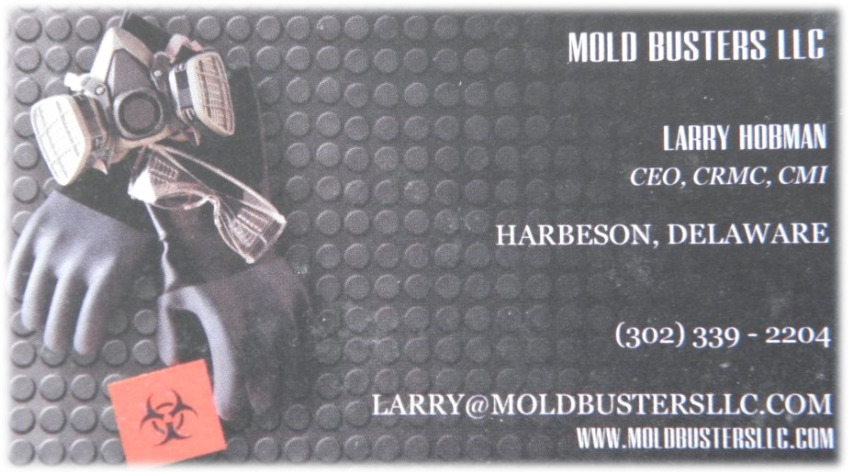 Logo for Mold Busters LLC