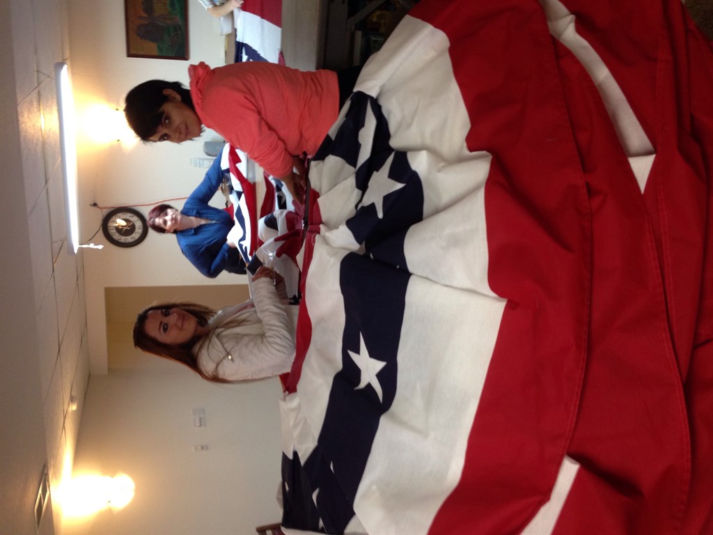US Flags and Banners