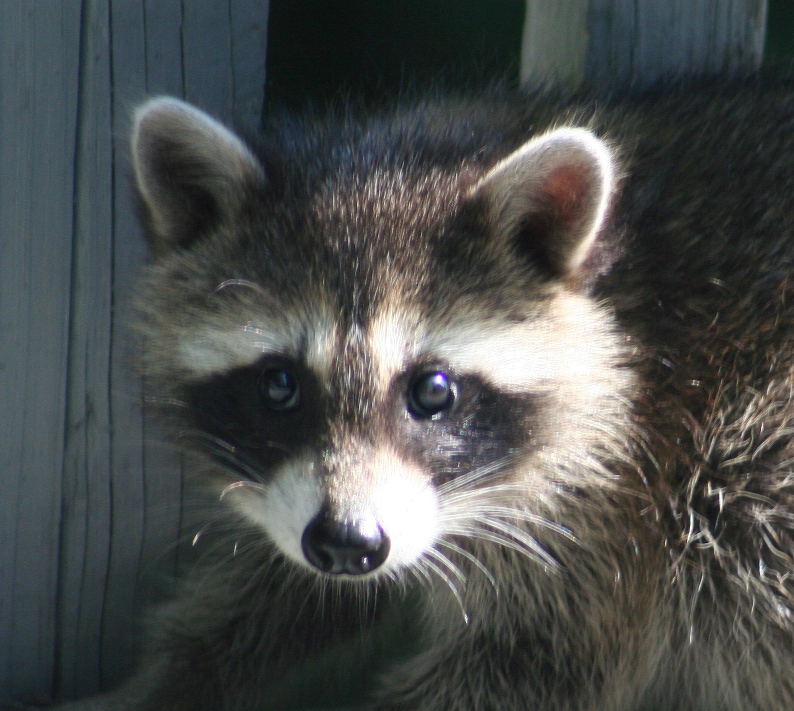 Avatar for 2Point, Inc.