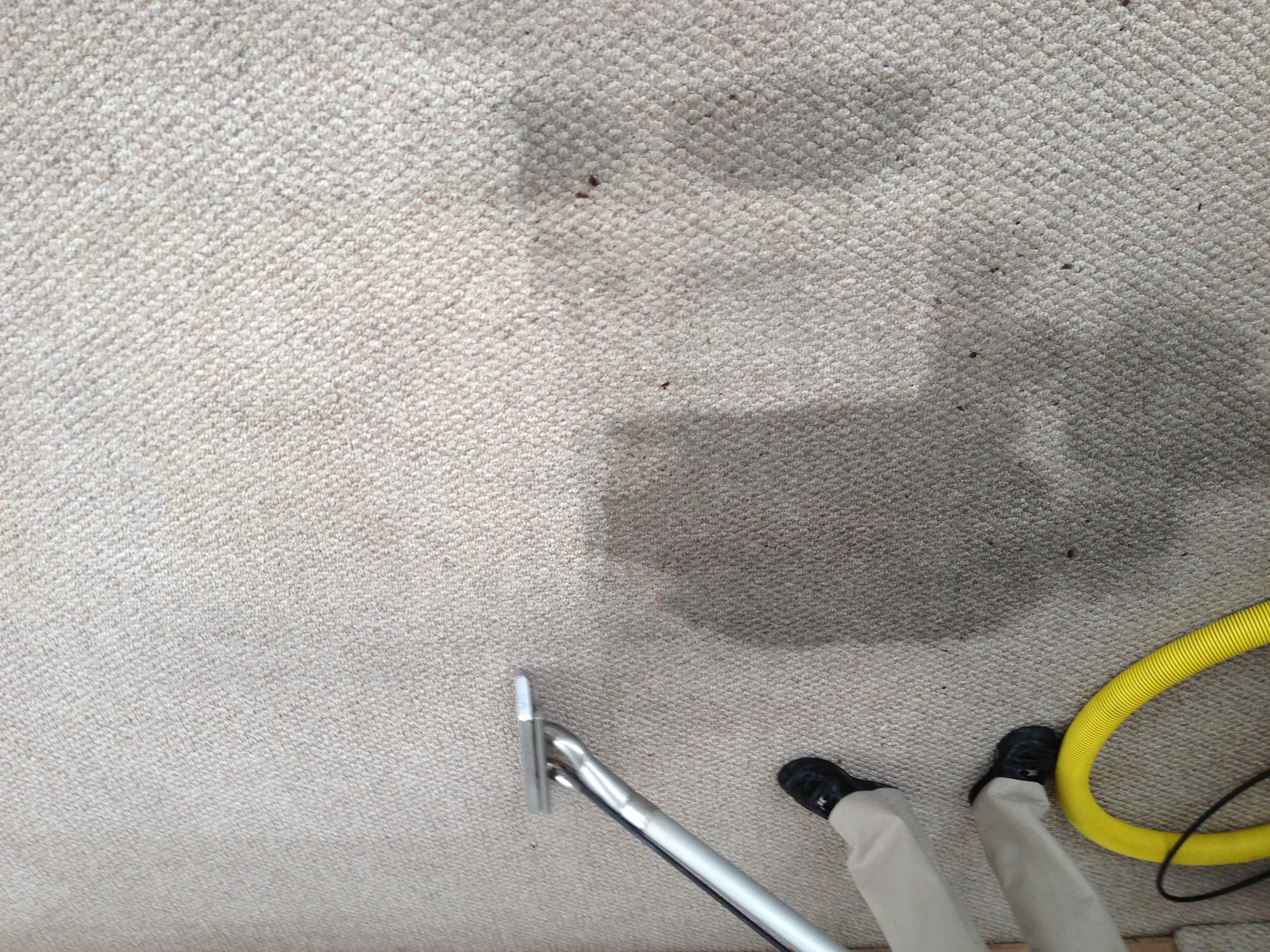 Avatar for Custom Clean Carpet Cleaning