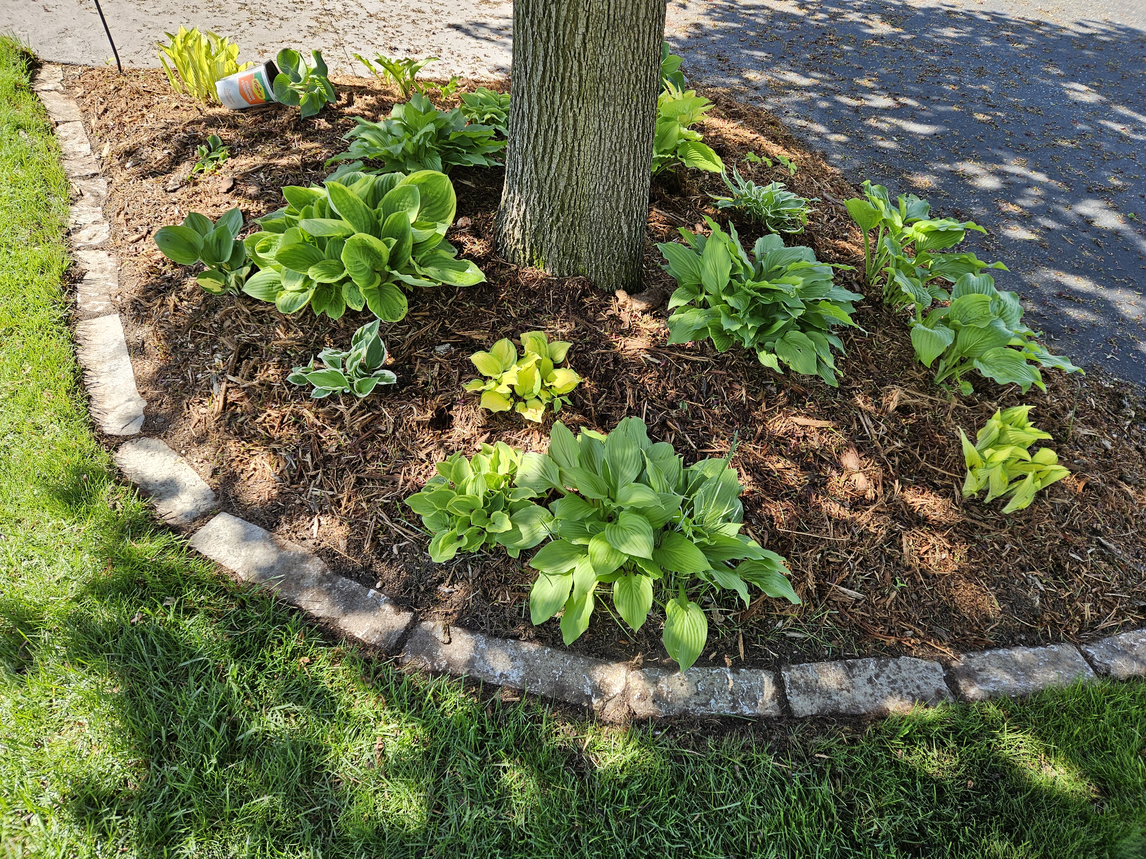 Avatar for Rowlands Landscaping and Powerwashing