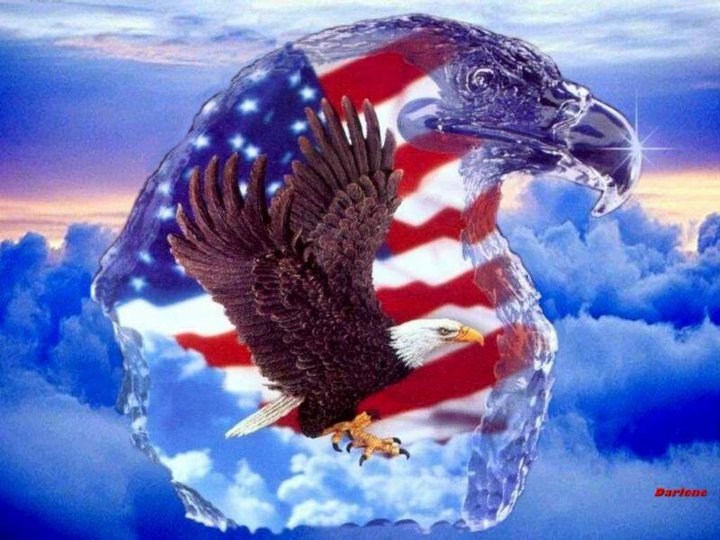 All American Renovations LLC logo