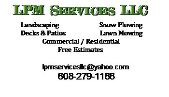 LPM Services LLC logo
