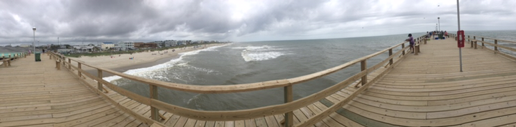 Avatar for Anything Customs