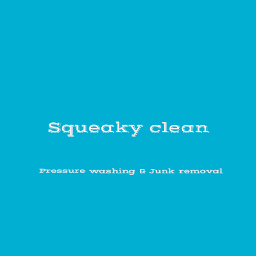Avatar for Squeaky clean cleanimg service