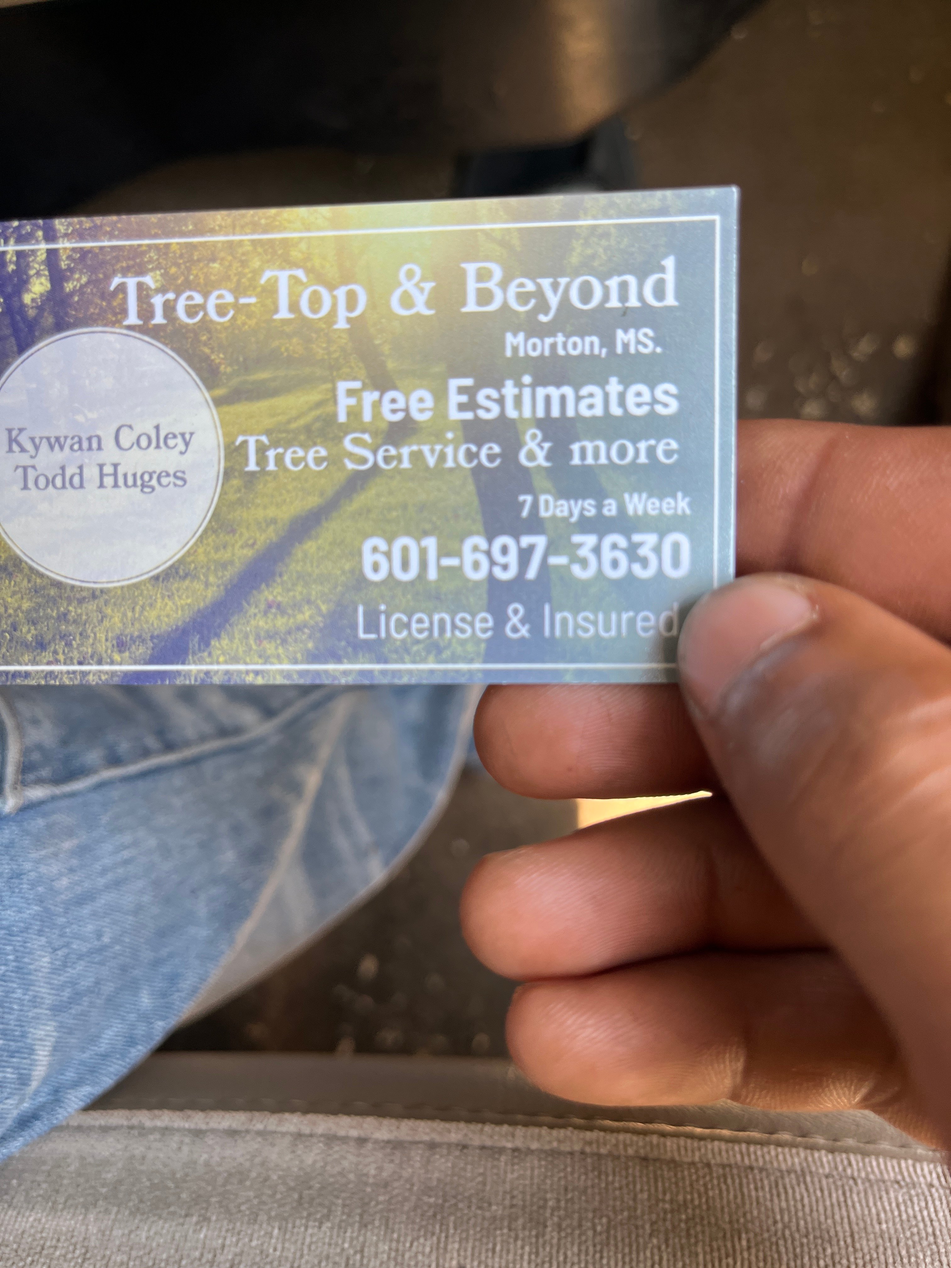 Avatar for Tree Top & Beyond