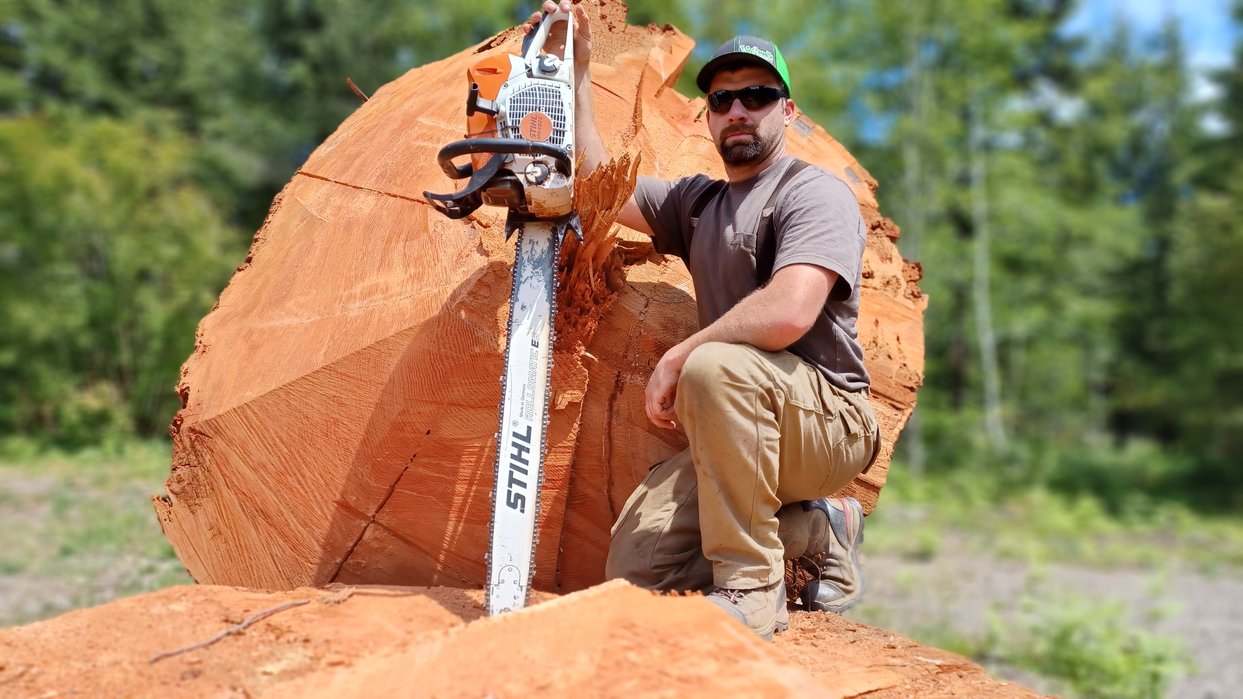 Avatar for T&L Enterprises LLC