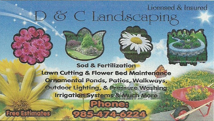 D & C Landscaping logo
