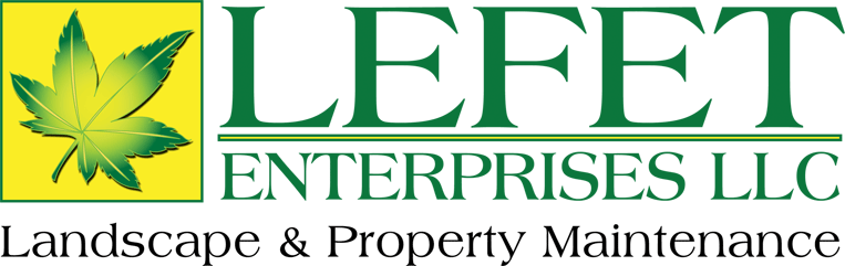 Logo for Lefet Enterprises LLC