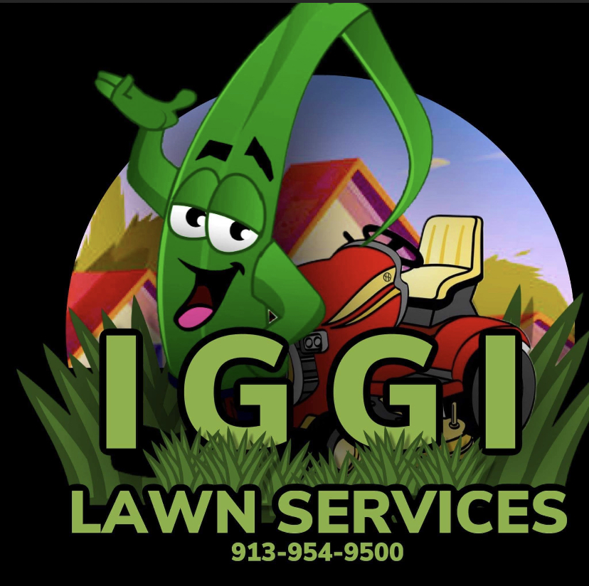 Avatar for Iggi Lawn Service