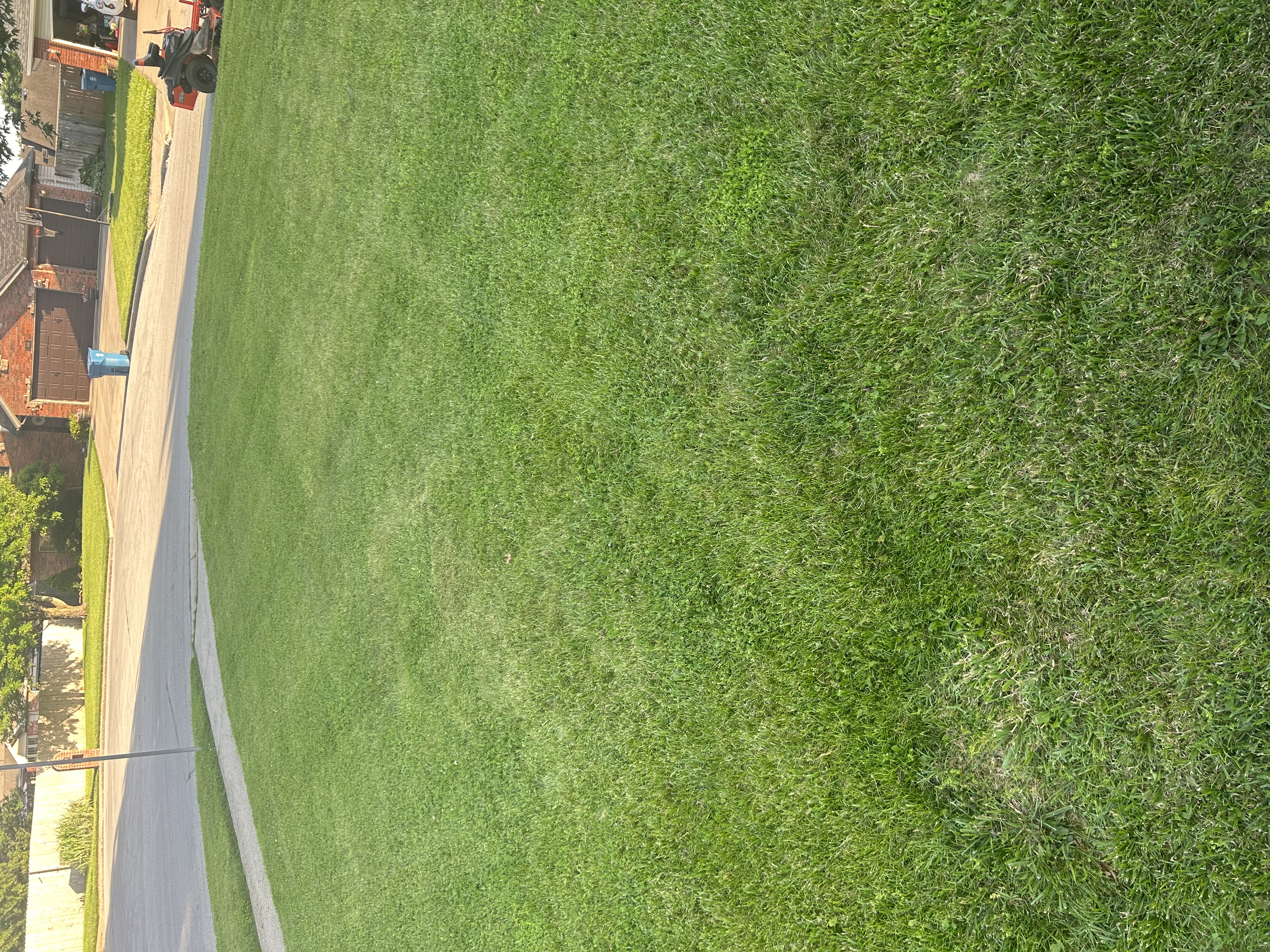 Avatar for Jace’s Lawn Care